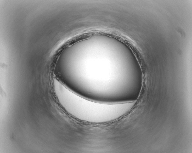 X0000091181496200708091213
