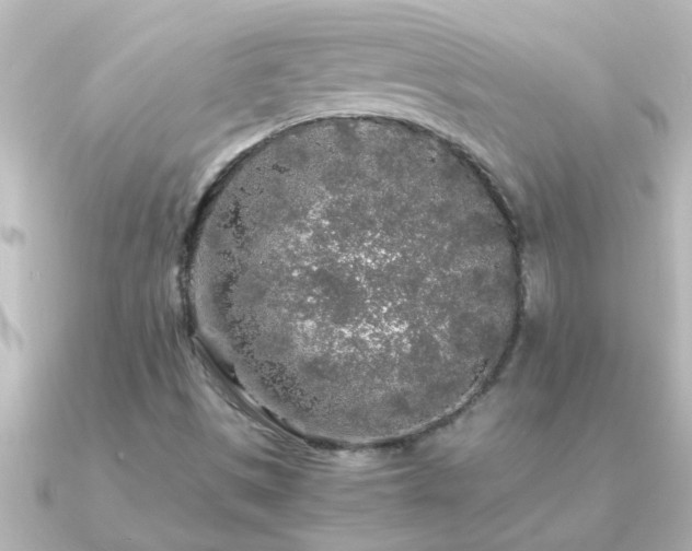 X0000091181497200708091213