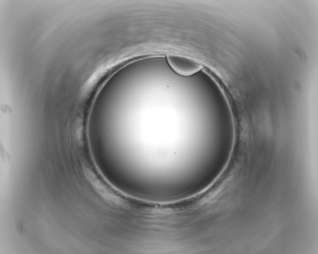X0000091181499200708091213