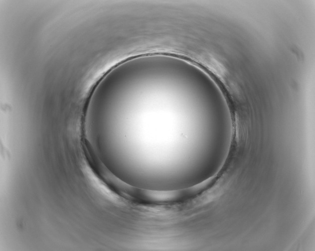 X0000091181500200708091213