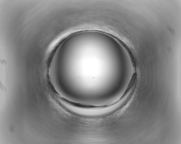 X0000091181502200708091213