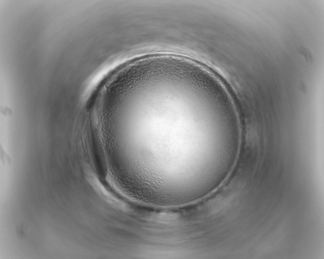 X0000091181503200708091213