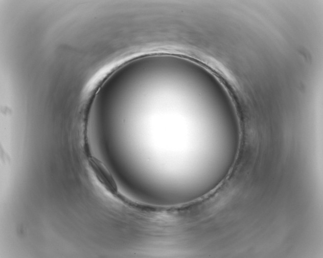 X0000091181504200708091213