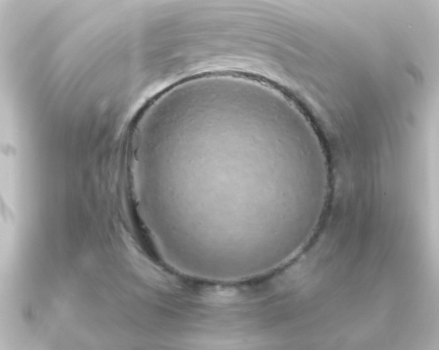 X0000091181505200708091213