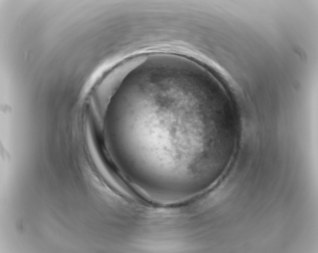 X0000091181506200708091213