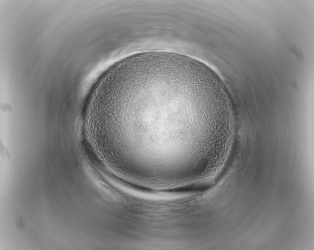 X0000091181507200708091213