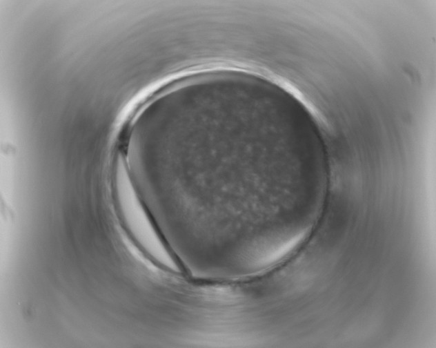 X0000091181508200708091213