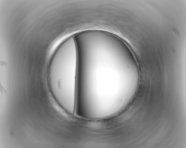 X0000091181511200708091213