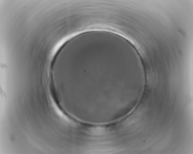 X0000091181515200708091213