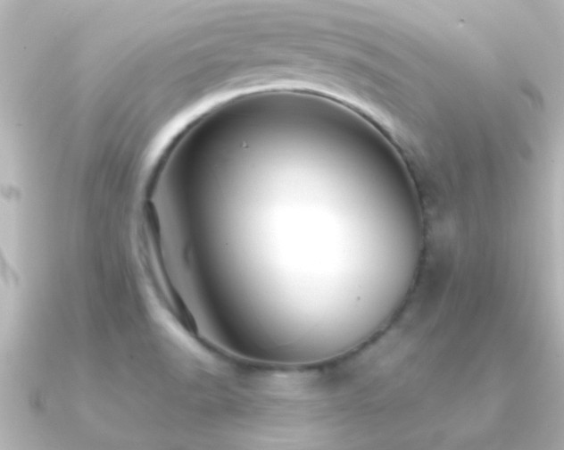X0000091181518200708091213