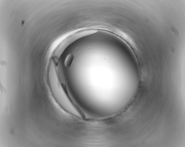 X0000091181520200708091213