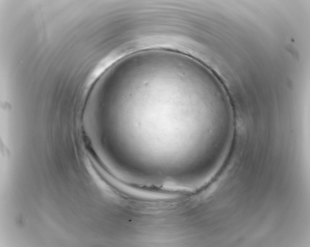 X0000091181521200708091213