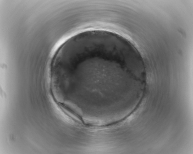 X0000091181522200708091213