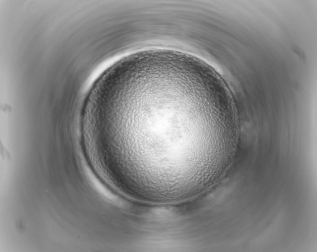 X0000091181523200708091213