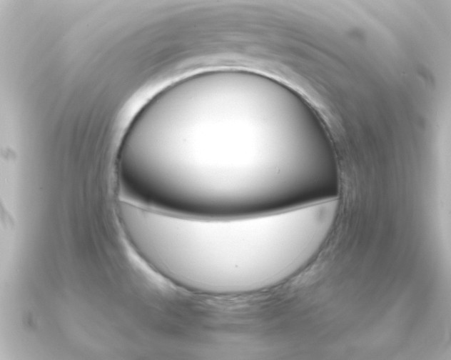 X0000091181527200708091213