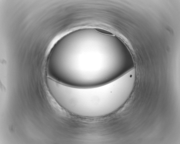 X0000091181530200708091213