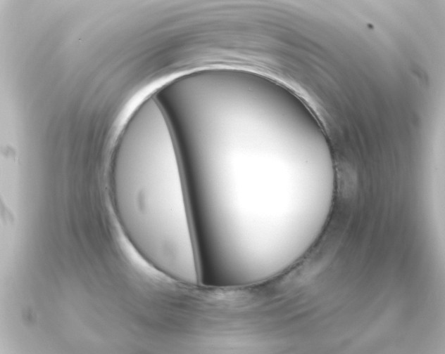 X0000091181531200708091213