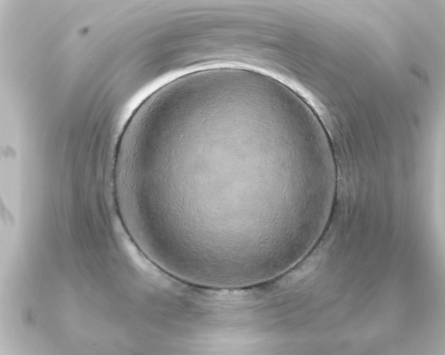 X0000091181534200708091213