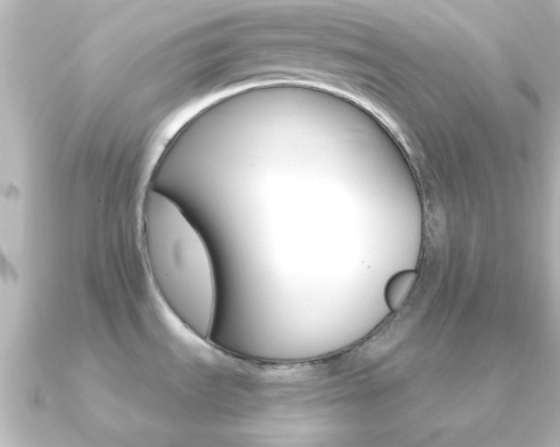 X0000091181535200708091213