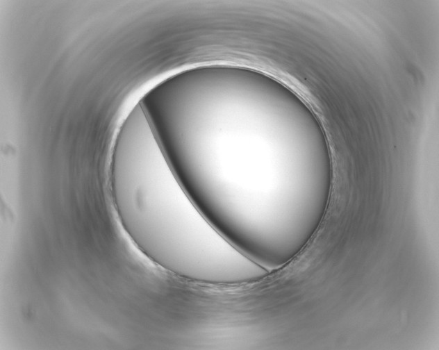 X0000091181536200708091213