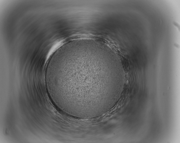 X0000091180004200708161527