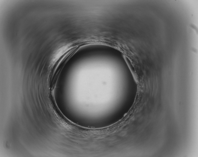 X0000091180005200708161527