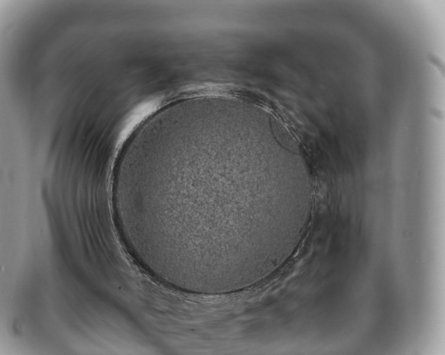 X0000091180006200708161526