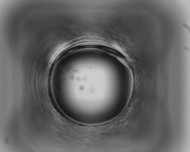 X0000091180007200708161526