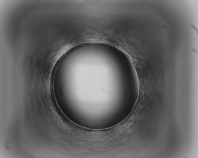X0000091180008200708161526