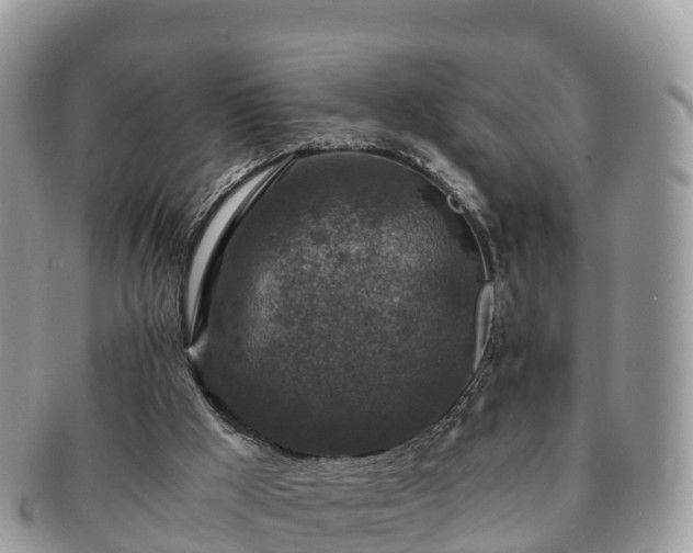 X0000091180009200708161526