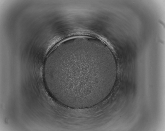 X0000091180010200708161526