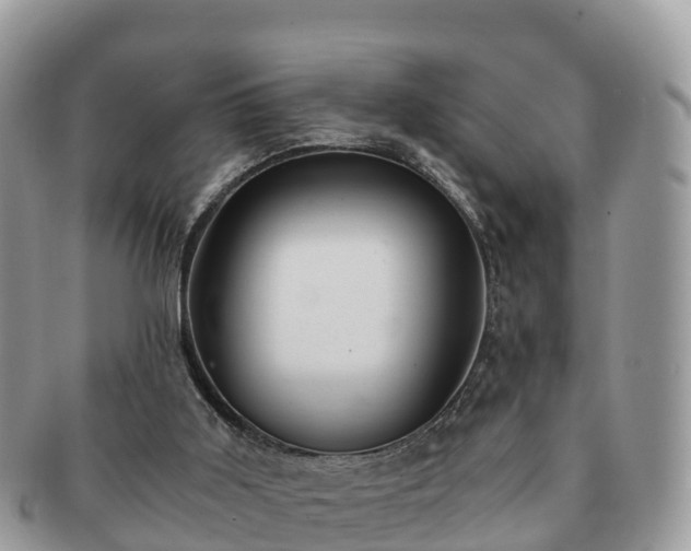 X0000091180011200708161526