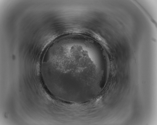 X0000091180012200708161526