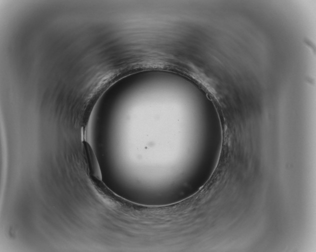 X0000091180013200708161526