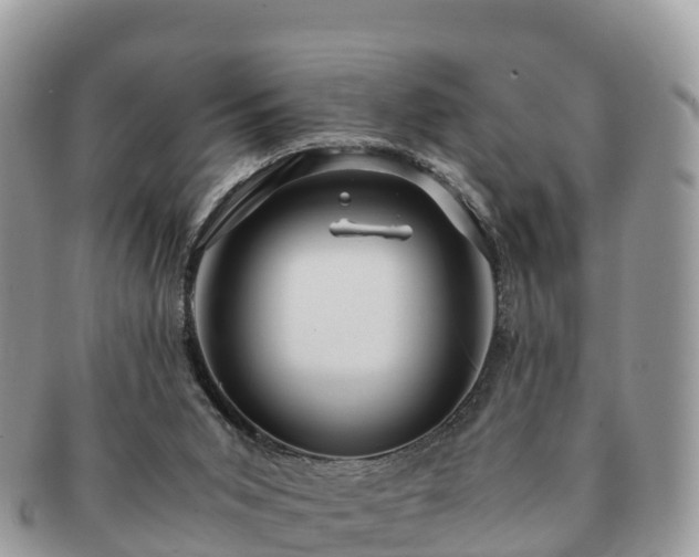 X0000091180015200708161526