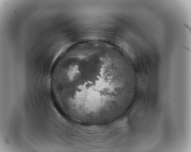 X0000091180016200708161526