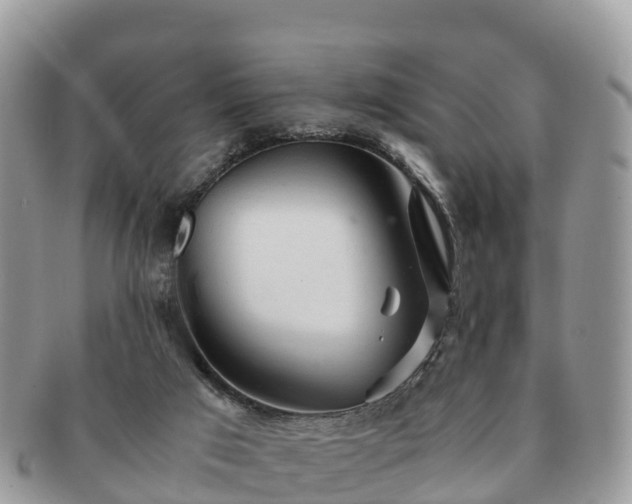 X0000091180017200708161526