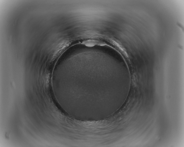 X0000091180018200708161526