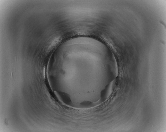 X0000091180019200708161526