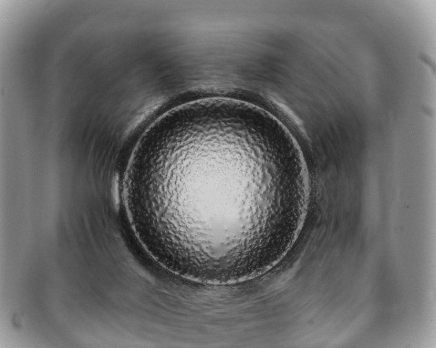 X0000091180020200708161526