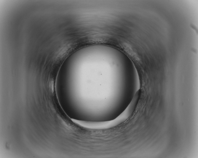 X0000091180021200708161526