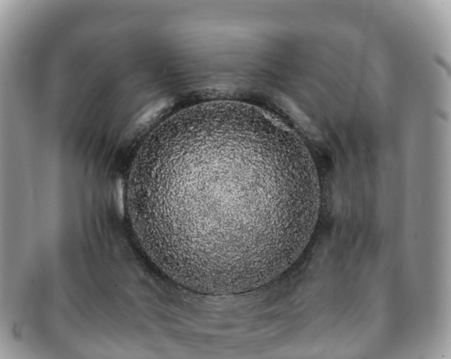 X0000091180022200708161526