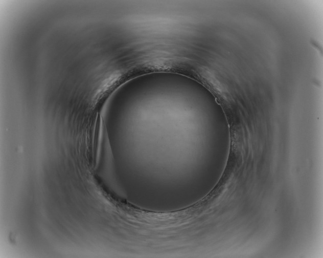 X0000091180023200708161526