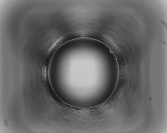 X0000091180024200708161526