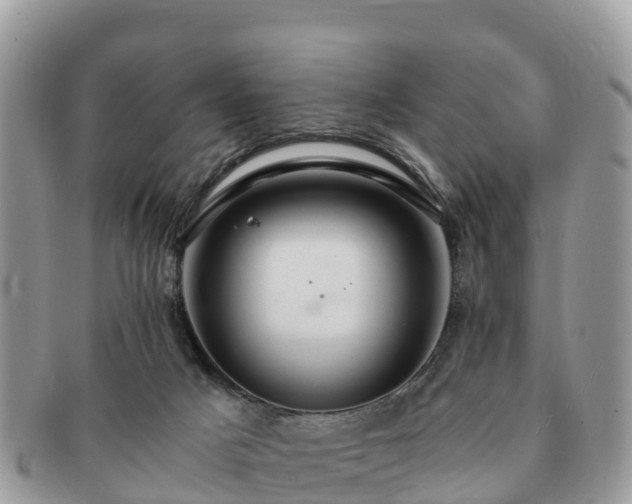 X0000091180025200708161526
