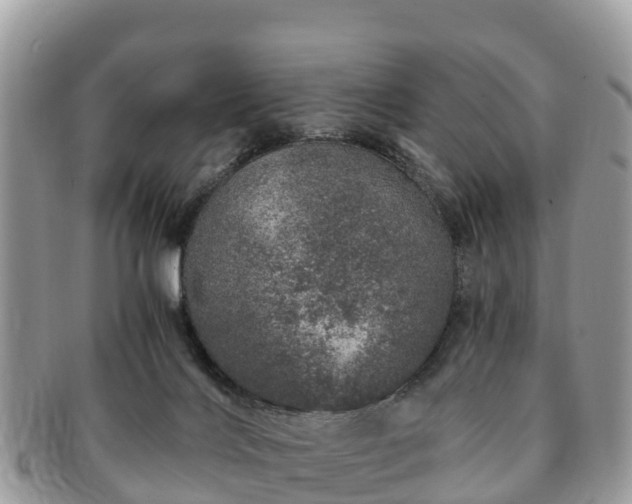 X0000091180028200708161526