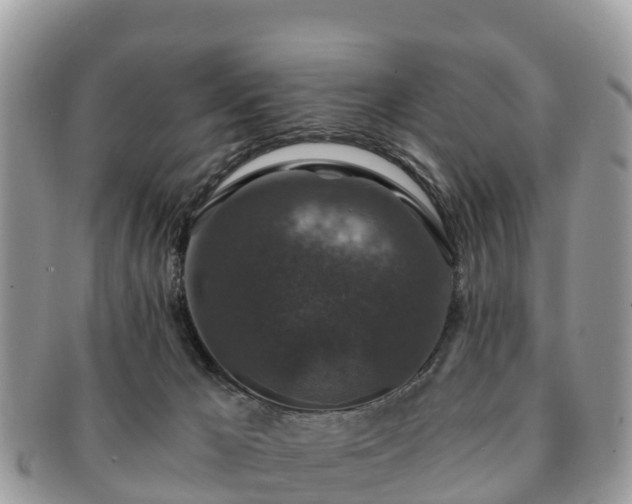 X0000091180029200708161526