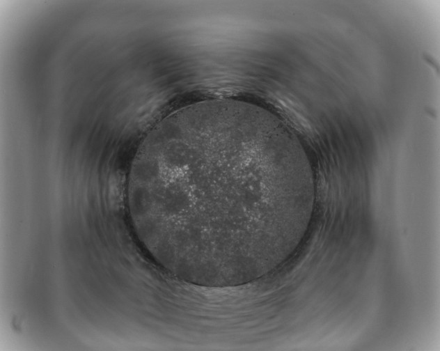 X0000091180030200708161526
