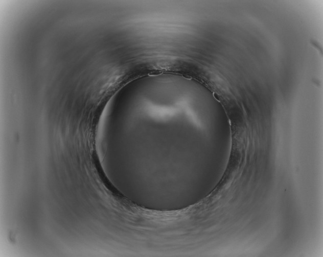 X0000091180031200708161526