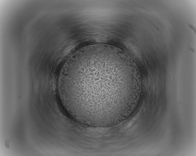 X0000091180032200708161526